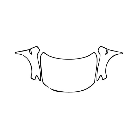 Pre-Cut PPF Volkswagen T-Roc (EU) R 2025 - PPF-Kits