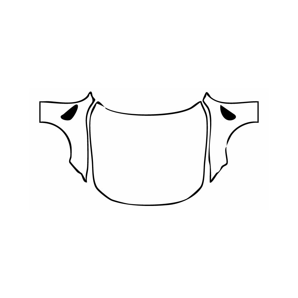 Pre-Cut PPF BMW 4 Series Coupe M4 Competition 2024 - PPF-Kits