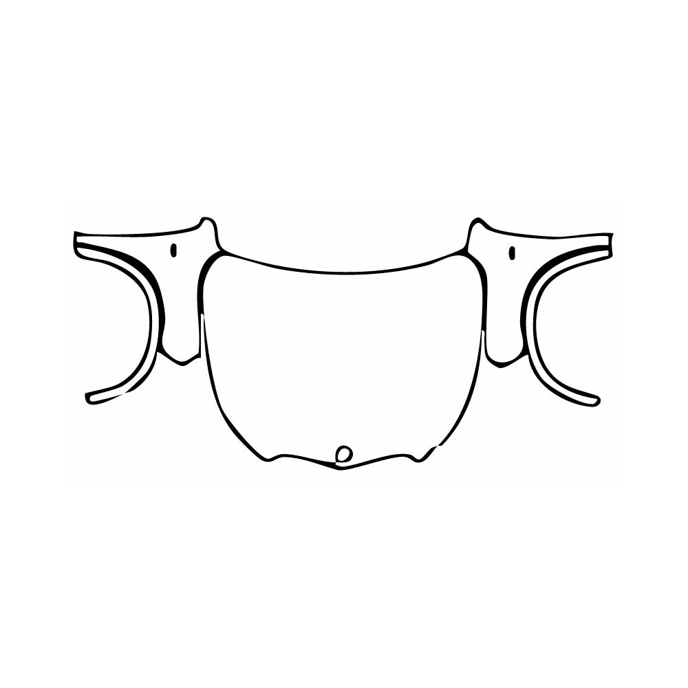 Pre-Cut PPF BMW X1 Standard Wheelbase M Sport 2024 - PPF-Kits