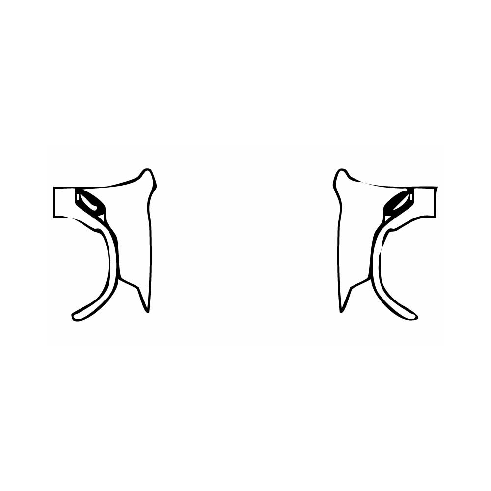 Pre-Cut PPF BMW X6 X6 M Competition 2024 - PPF-Kits