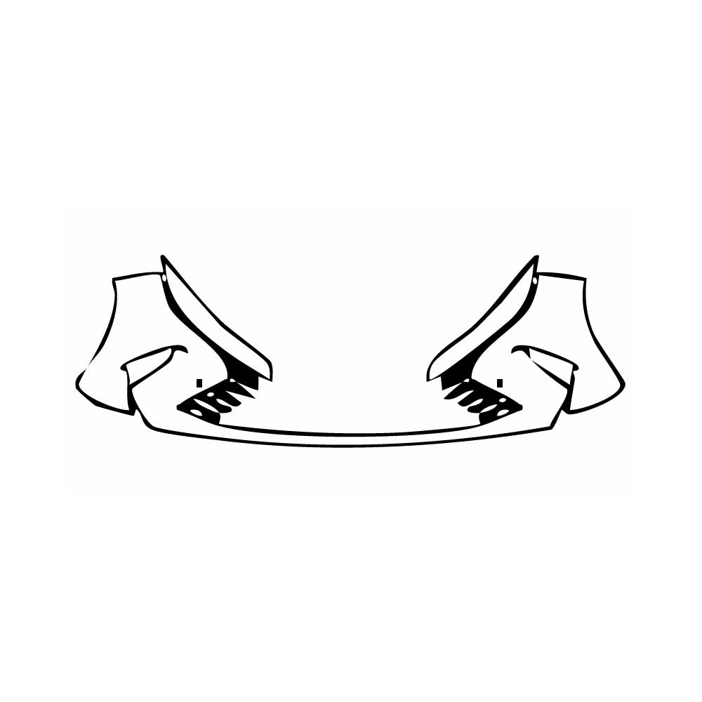 Pre-Cut PPF BYD King (BR) 2024 - PPF-Kits