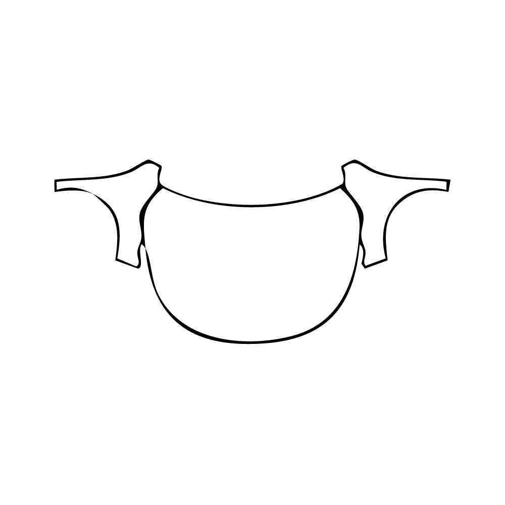 Pre-Cut PPF BYD King (BR) 2024 - PPF-Kits