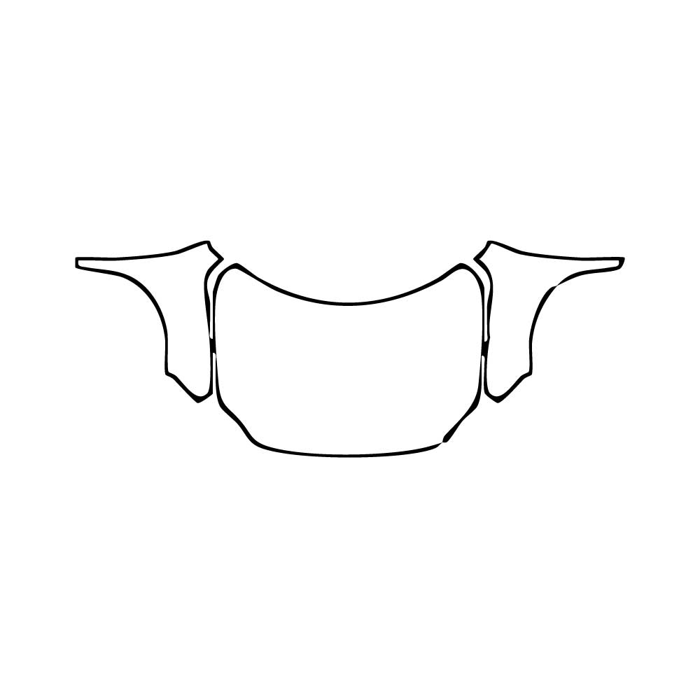 Pre-Cut PPF MINI MINI Countryman C Exclusive 2024 - PPF-Kits