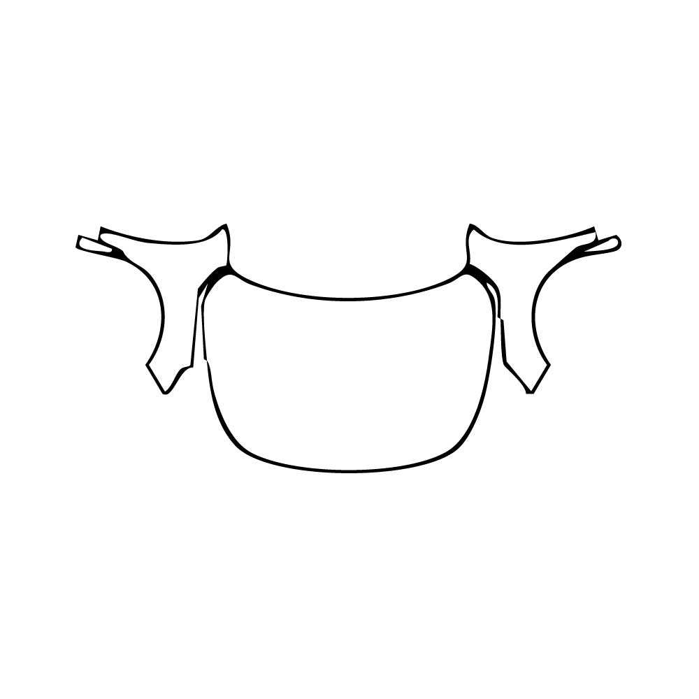 Pre-Cut PPF Nissan Altima (US) SV 2024 - PPF-Kits