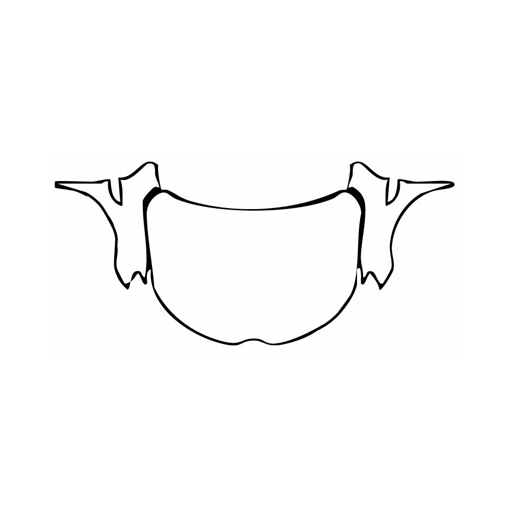 Pre-Cut PPF Renault Arkana Techno 2025 - PPF-Kits