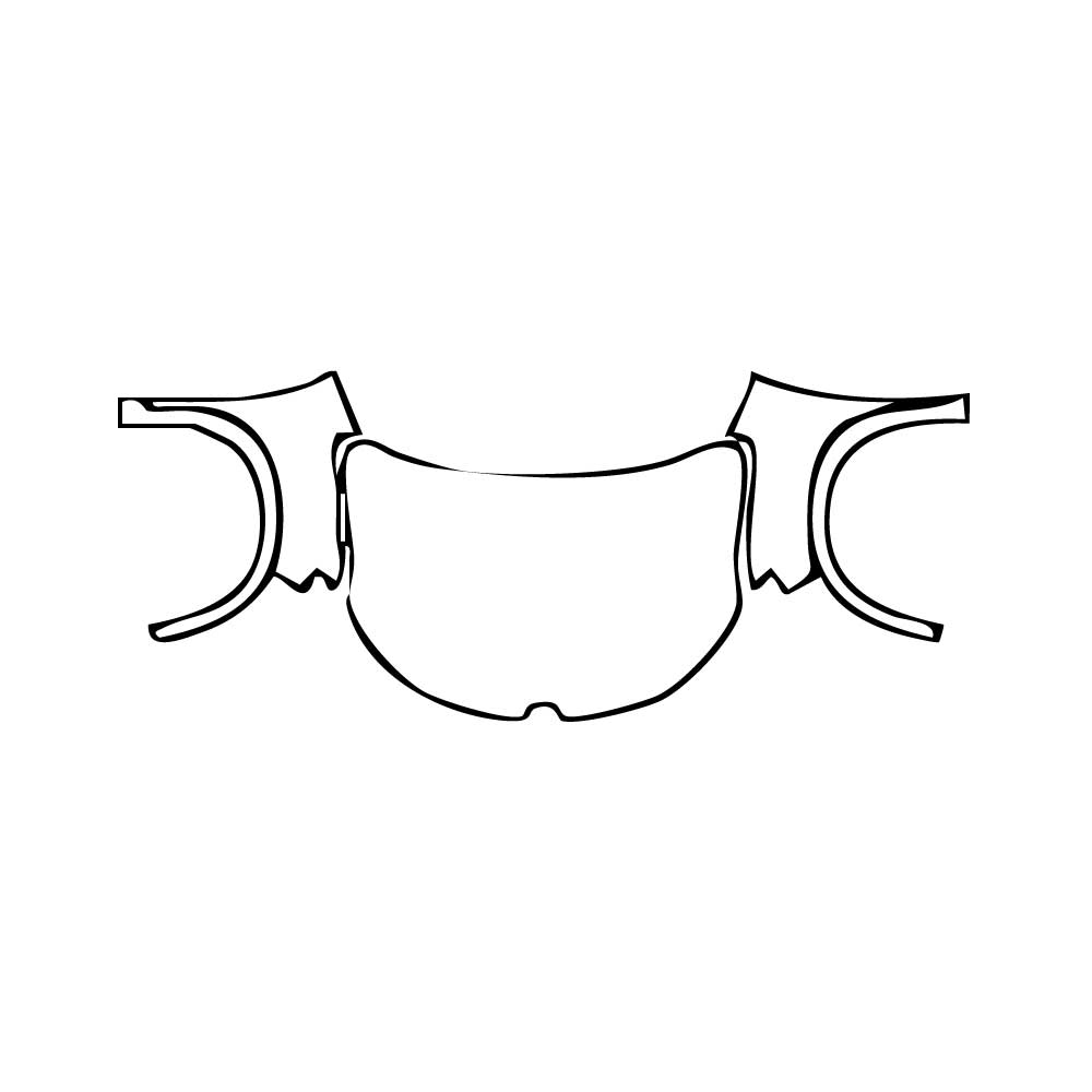 Pre-Cut PPF Renault Austral Techno 2025 - PPF-Kits