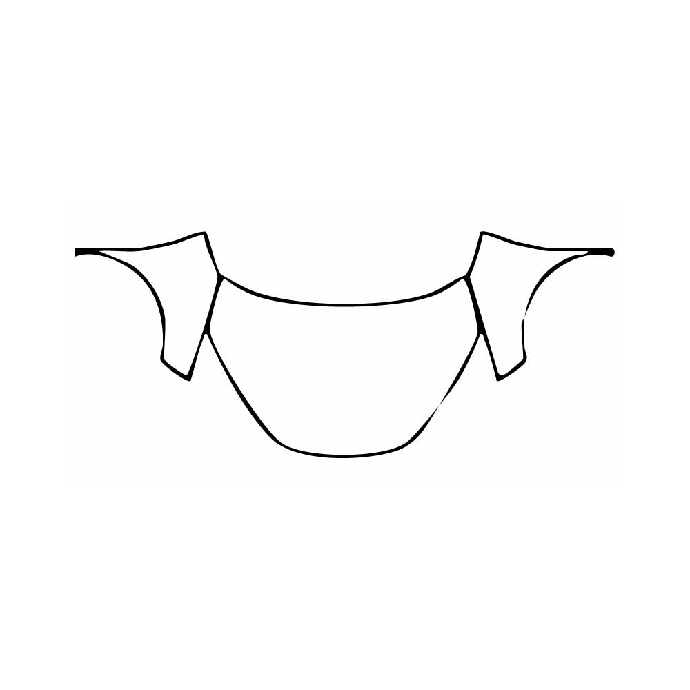 Pre-Cut PPF Toyota C-HR PHEV (EU) 2025 - PPF-Kits