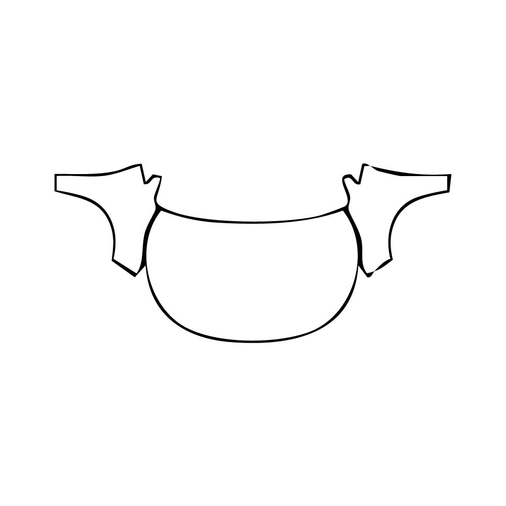 Pre-Cut PPF Toyota Corolla (US) Hatchback Base 2025 - PPF-Kits