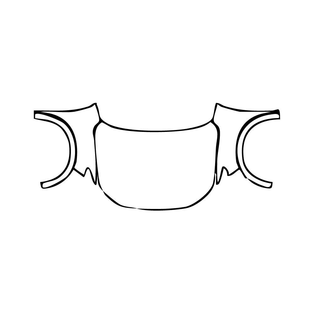 Pre-Cut PPF Honda ZR-V (EU) Base 2024 - PPF-Kits