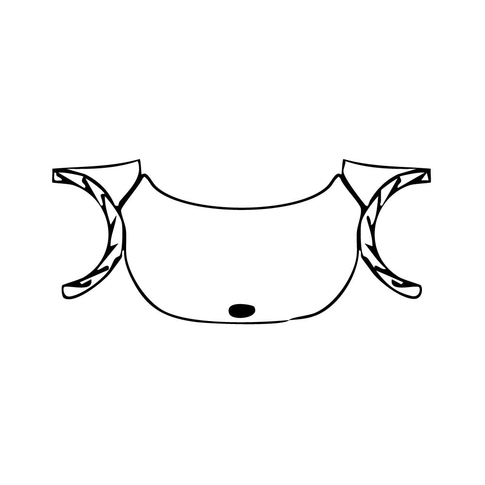 Pre-Cut PPF Hyundai IONIQ 5 (US) 2024 - PPF-Kits