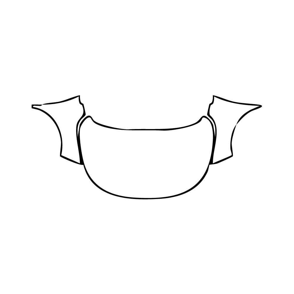 Pre-Cut PPF KIA Niro EV (EU) EV4 2024 - PPF-Kits