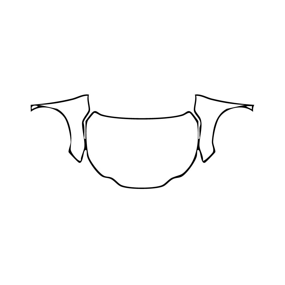 Pre-Cut PPF Lexus NX Base 2024 - PPF-Kits