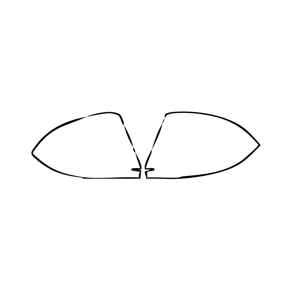 Pre-Cut PPF Lexus NX F-Sport 2024 - PPF-Kits