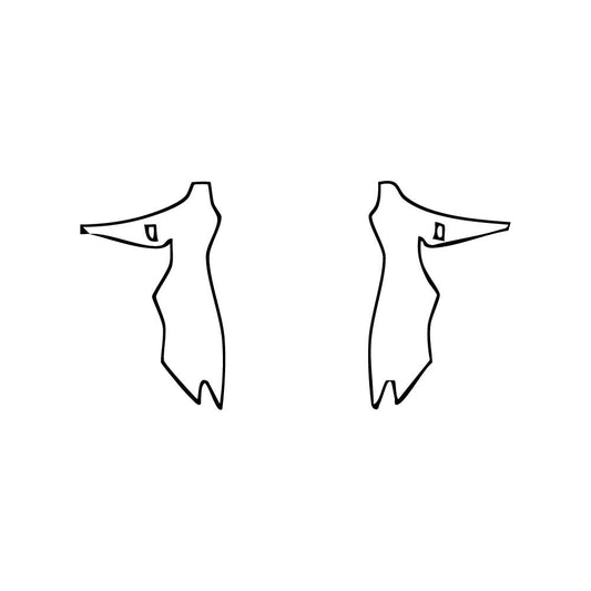 Pre-Cut PPF Lexus RCF 2024 - PPF-Kits