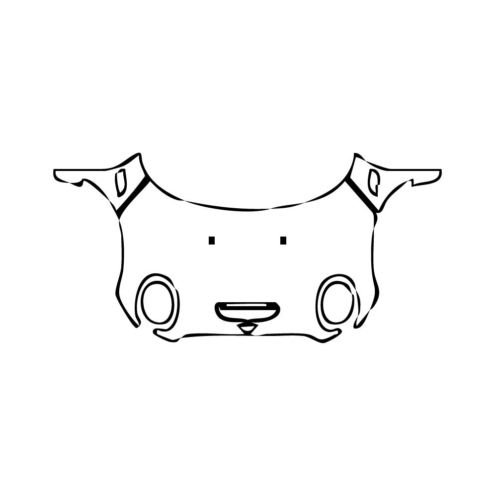 Pre-Cut PPF MINI MINI Clubman John Cooper Works (JCW) 2024 - PPF-Kits