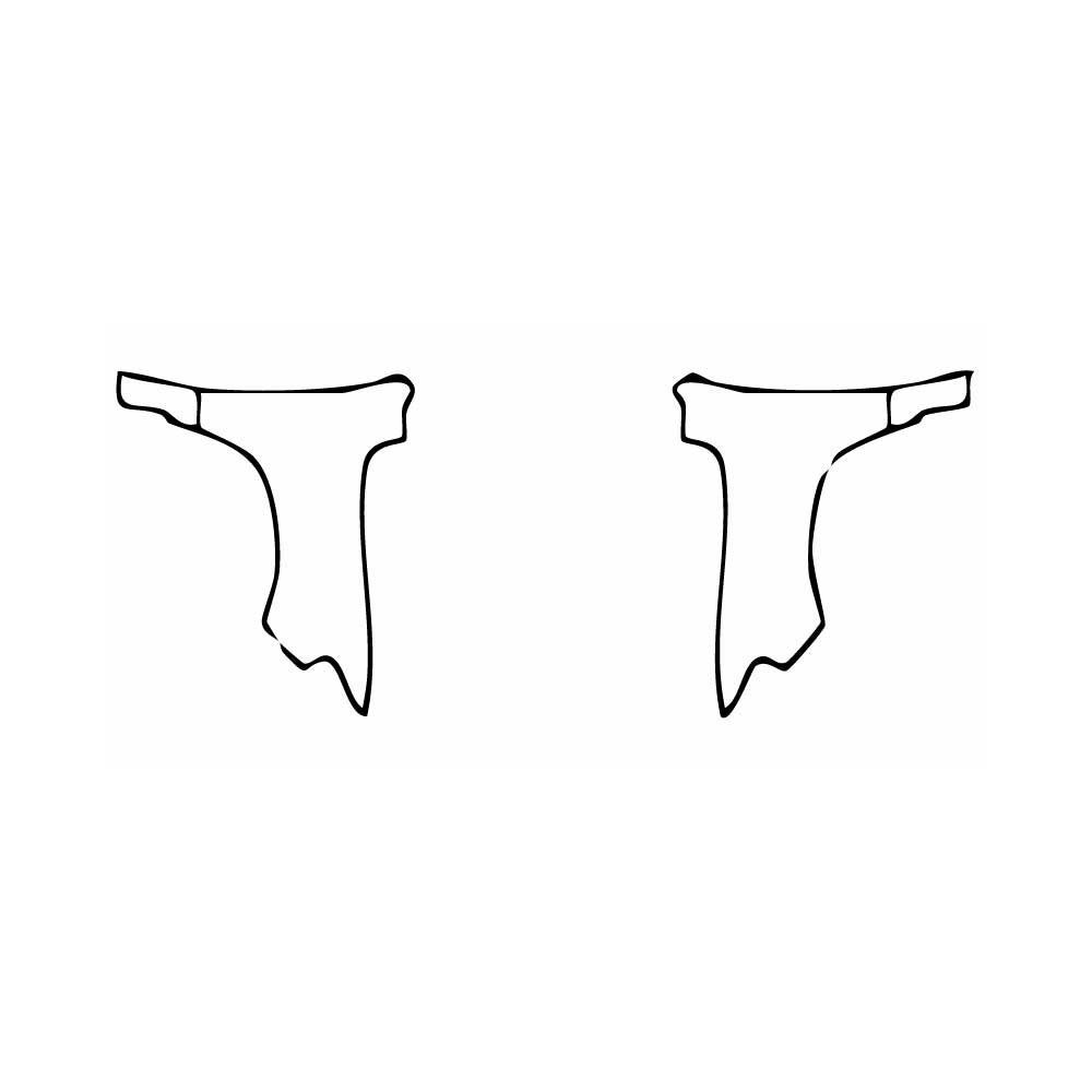 Pre-Cut PPF RAM Trucks 1500 Crew Cab Big Horn 2023 - PPF-Kits