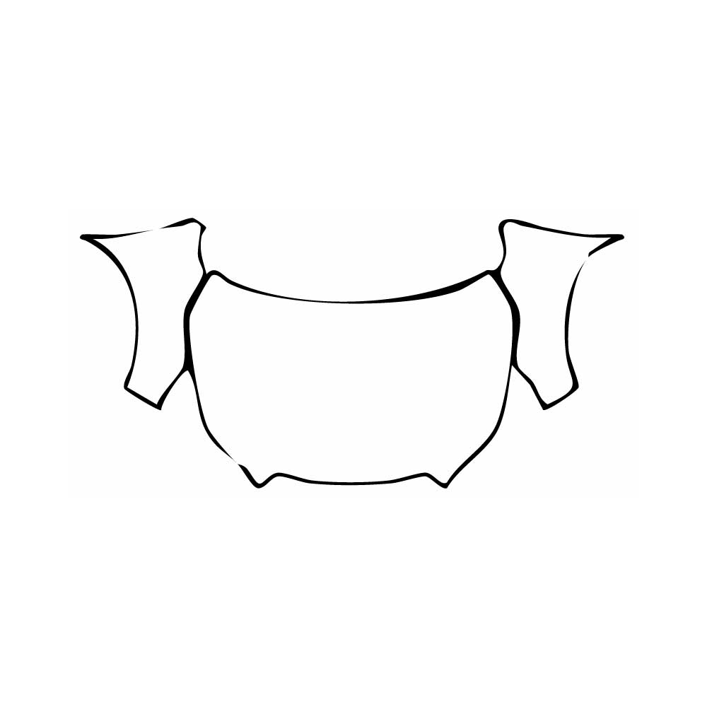 Pre-Cut PPF Subaru Forester (US) Touring 2022 - PPF-Kits