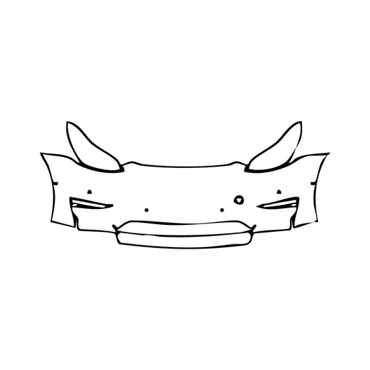 Pre-Cut PPF Tesla Model Y Performance 2022 - PPF-Kits