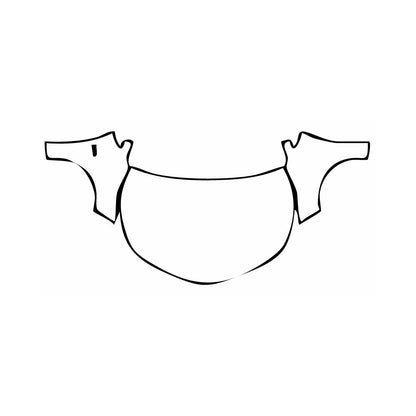 Pre-Cut PPF Toyota Corolla (CN) 2021 - PPF-Kits