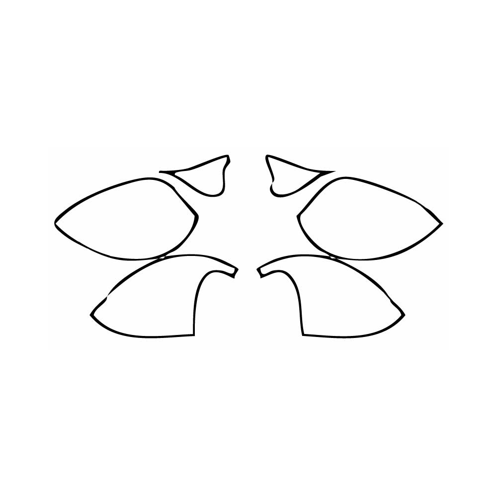 Pre-Cut PPF Dodge Challenger Standard body R T SCAT PACK 2016 - PPF-Kits