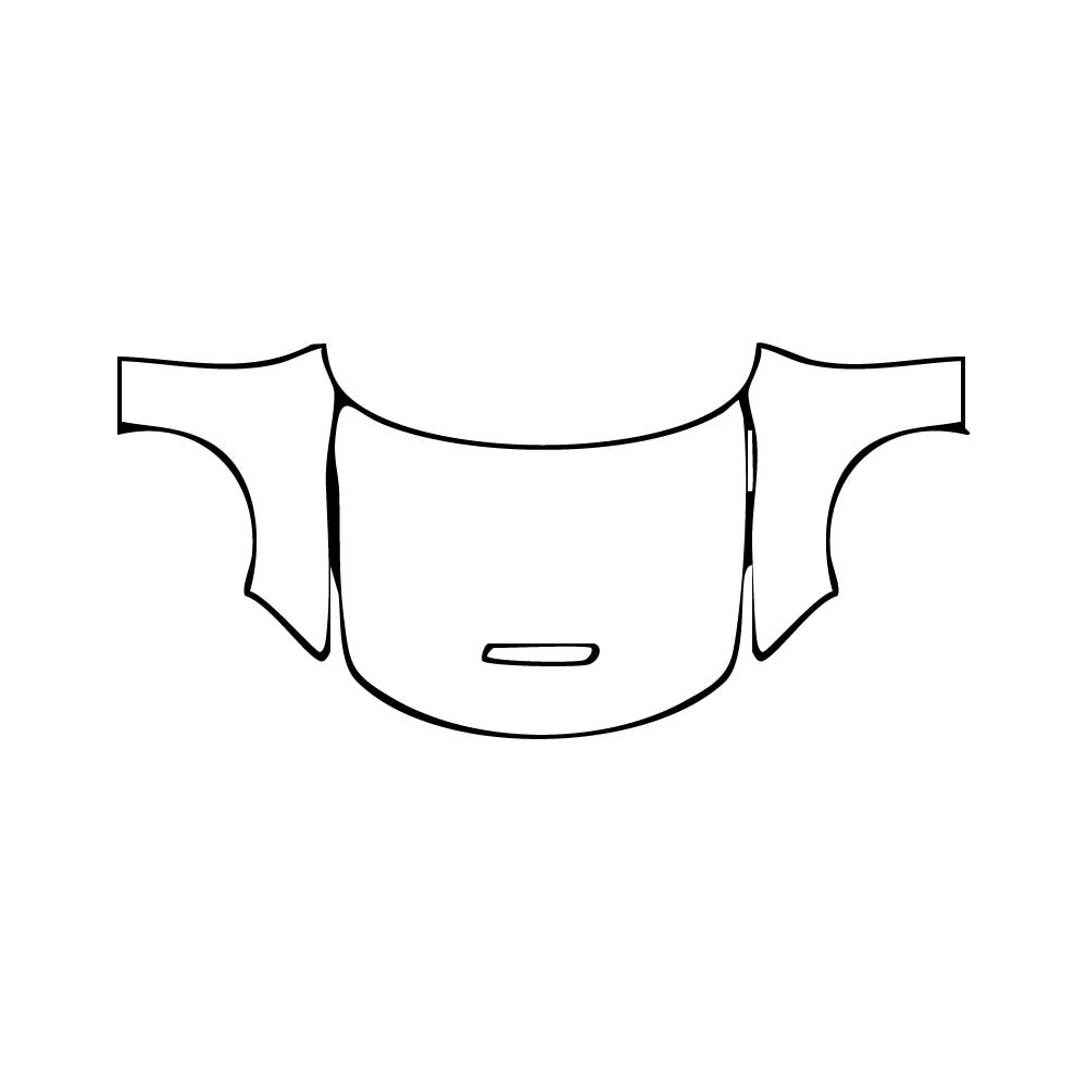 Pre-Cut PPF Dodge Charger Standard body GT 2019 - PPF-Kits