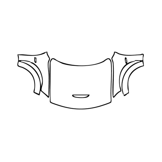 Pre-Cut PPF Dodge Charger Widebody SCAT PACK 2020 - PPF-Kits