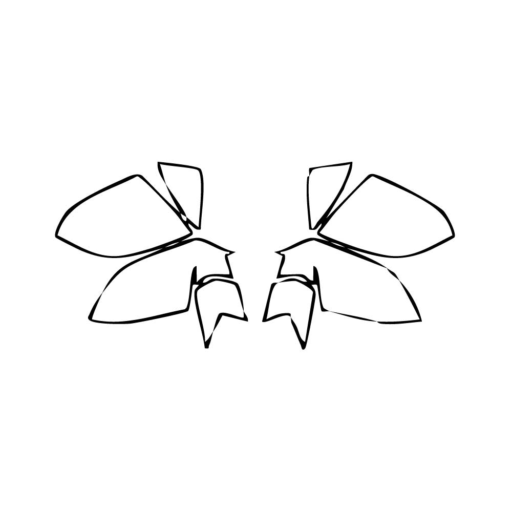 Pre-Cut PPF Lamborghini Aventador LP 700-4 Coupe 2011 - PPF-Kits