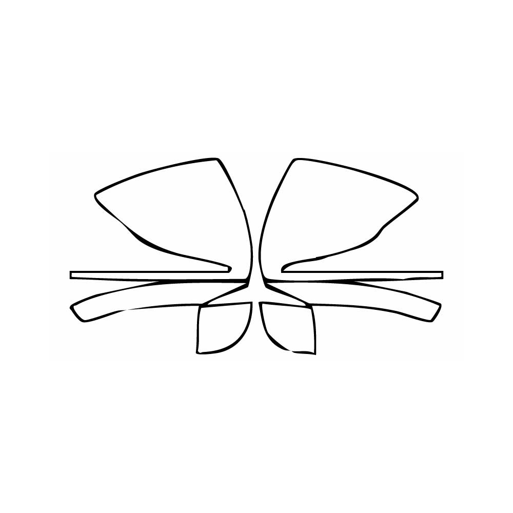 Pre-Cut PPF Mercedes-Benz AMG GT 4-Door 63 S 2019 - PPF-Kits