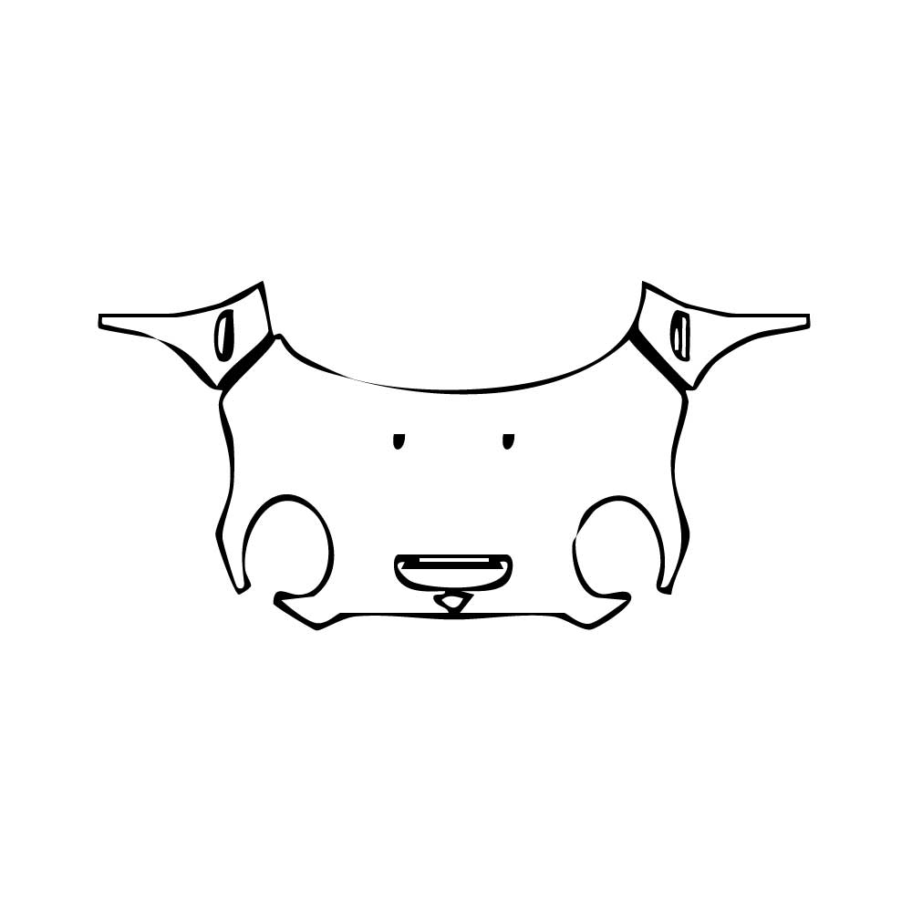 Pre-Cut PPF MINI MINI Hardtop 4 Door Cooper S Sport 2021 - PPF-Kits