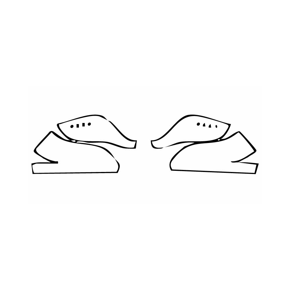 Pre-Cut PPF Toyota Camry (US) TRD 2021 - PPF-Kits