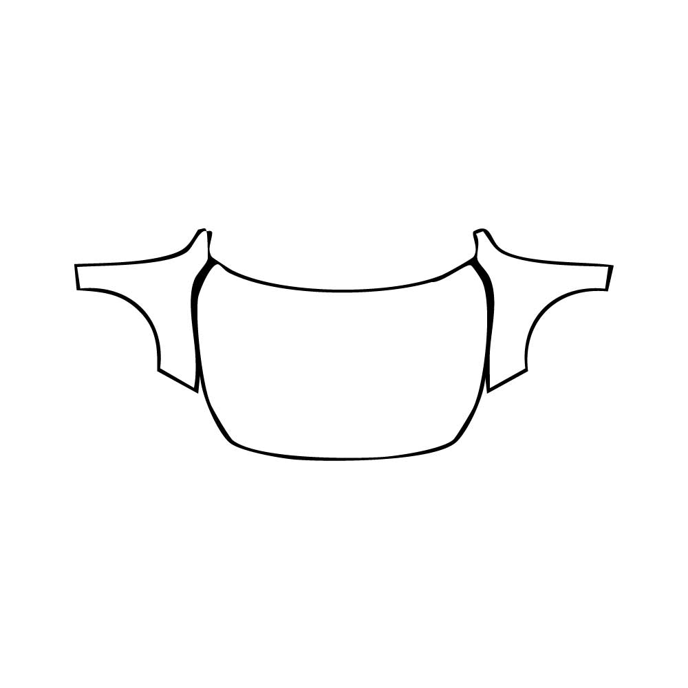 Pre-Cut PPF BMW 2 Series Gran Coupe Msport 2020 - PPF-Kits