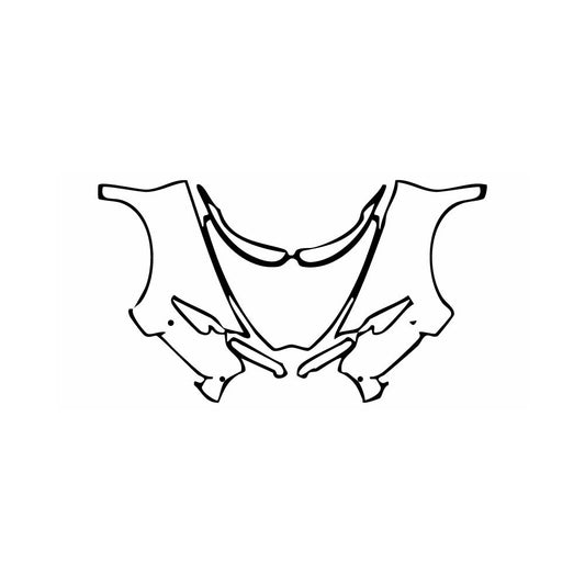 Pre-Cut PPF Bugatti Chiron Chiron Sport 2018 - PPF-Kits