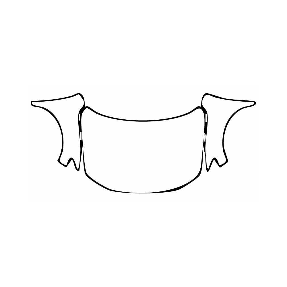 Pre-Cut PPF Volkswagen T-Roc (EU) S 2018 - PPF-Kits