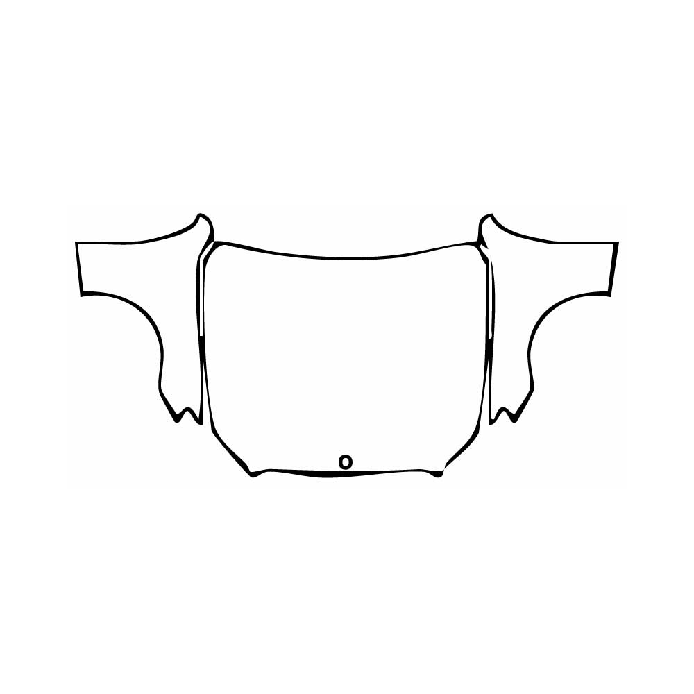 Pre-Cut PPF Mercedes-Benz E Class Sedan AMG E53 2019 - PPF-Kits