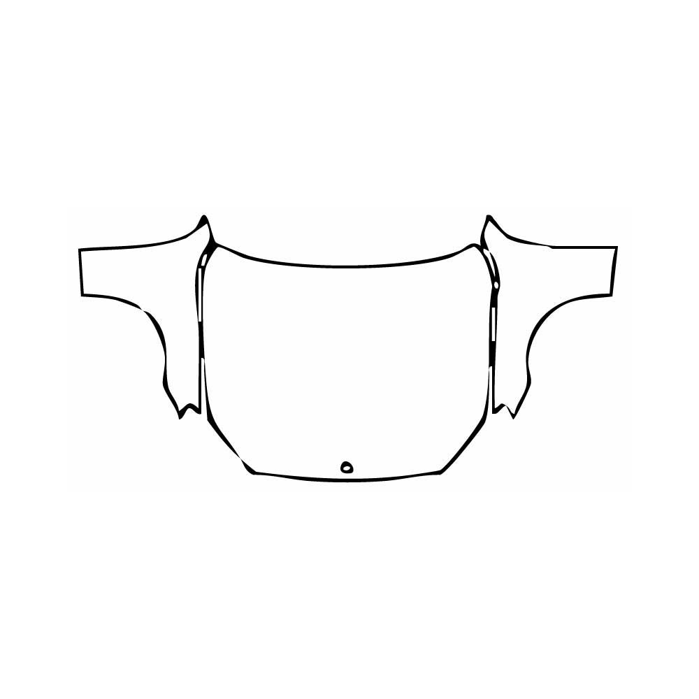 Pre-Cut PPF Mercedes-Benz S Class Sedan AMG S65 L 2014 - PPF-Kits