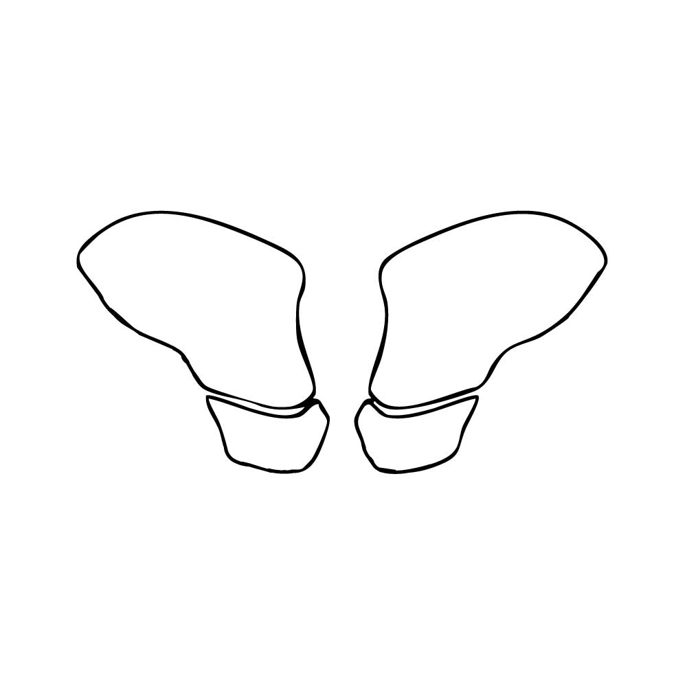 Pre-Cut PPF Ferrari California T 2015 - PPF-Kits