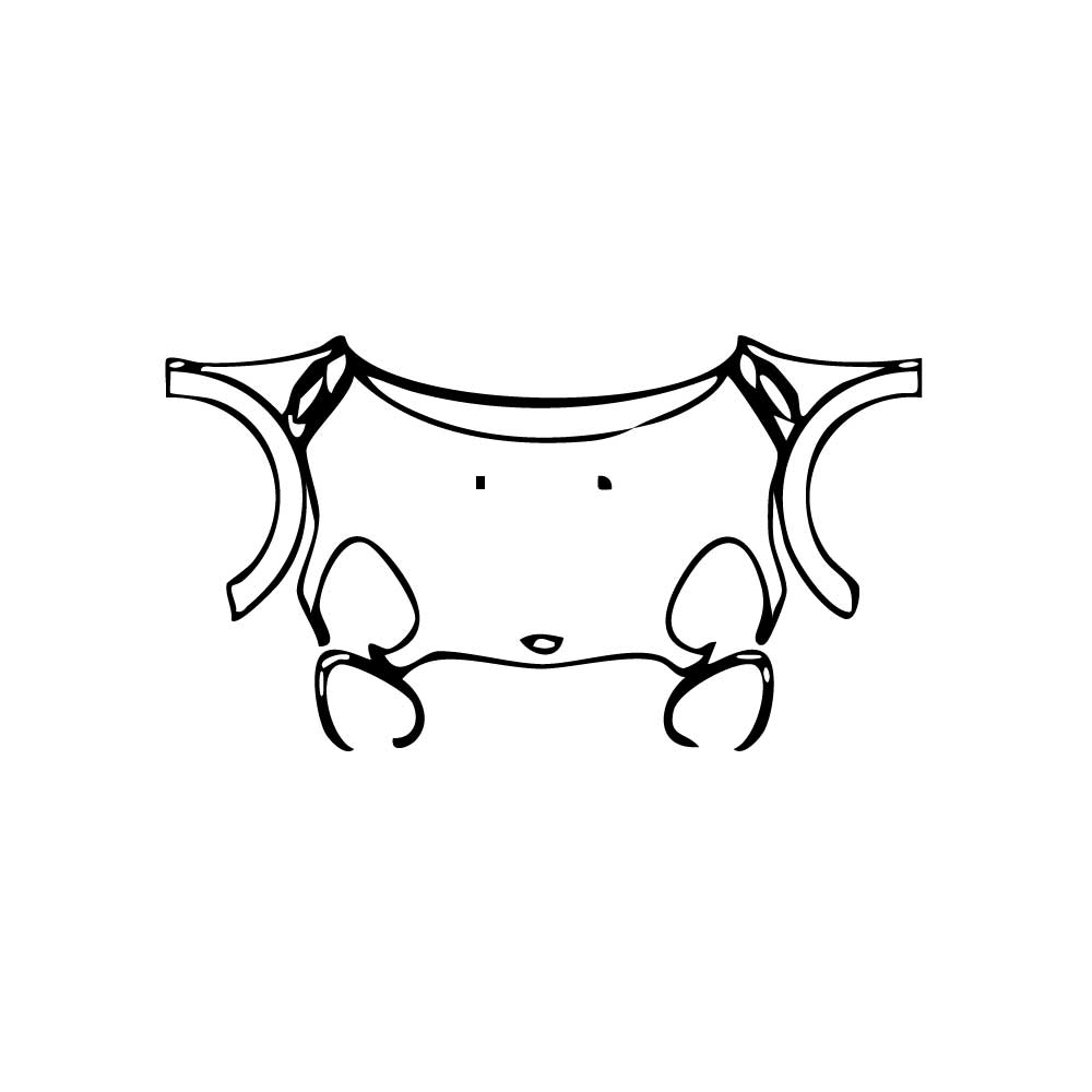 Pre-Cut PPF MINI MINI Countryman Cooper S All4 2012 - PPF-Kits