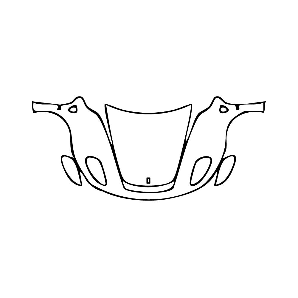 Pre-Cut PPF Ferrari F430 F430 Scuderia Coupe 2008 - PPF-Kits