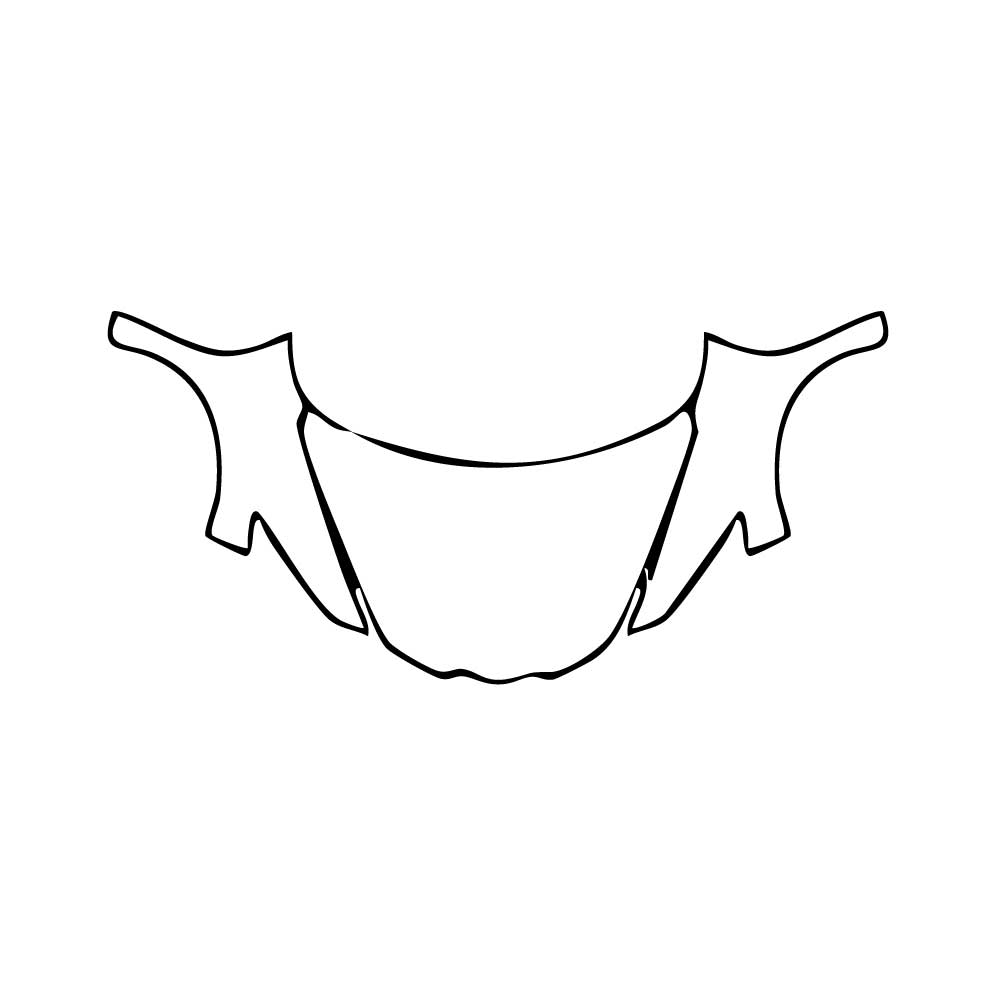 Pre-Cut PPF Chevrolet Corvette E-Ray Coupe 2025 - PPF-Kits