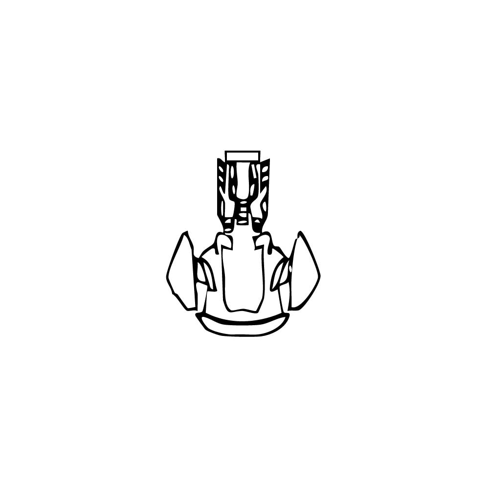 Pre-Cut PPF Lamborghini Revuelto 2025 - PPF-Kits