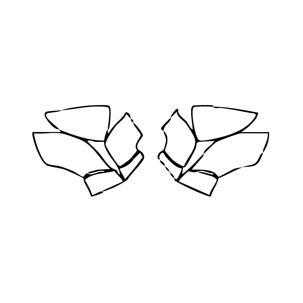 Pre-Cut PPF Lexus UX F-Sport 2025 - PPF-Kits