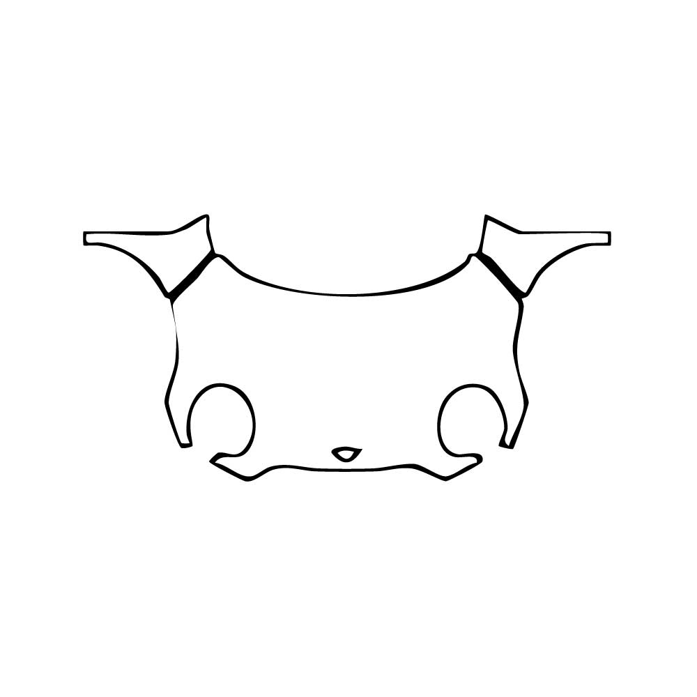 Pre-Cut PPF MINI MINI Hardtop 4 Door Cooper S Base 2025 - PPF-Kits