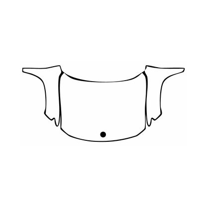 Pre-Cut PPF Rivian R1S 2025 - PPF-Kits