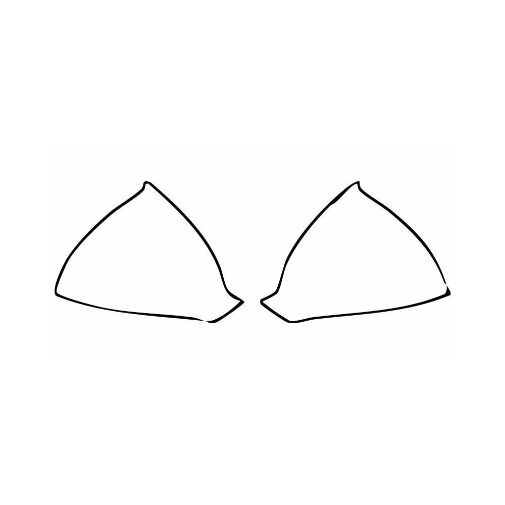 Pre-Cut PPF Cupra Formentor 2025 - PPF-Kits