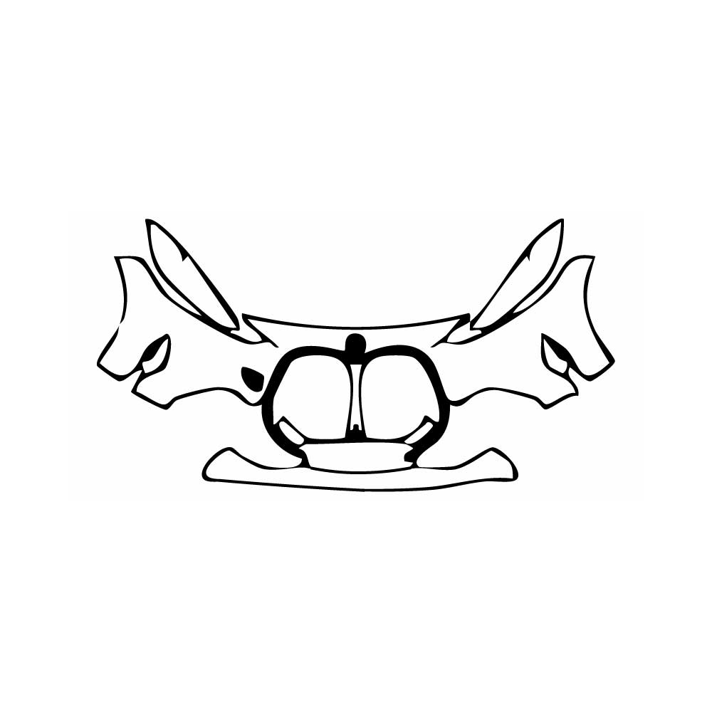 Voorgesneden PPF BMW 4 Series Coupe Luxury Line 2025