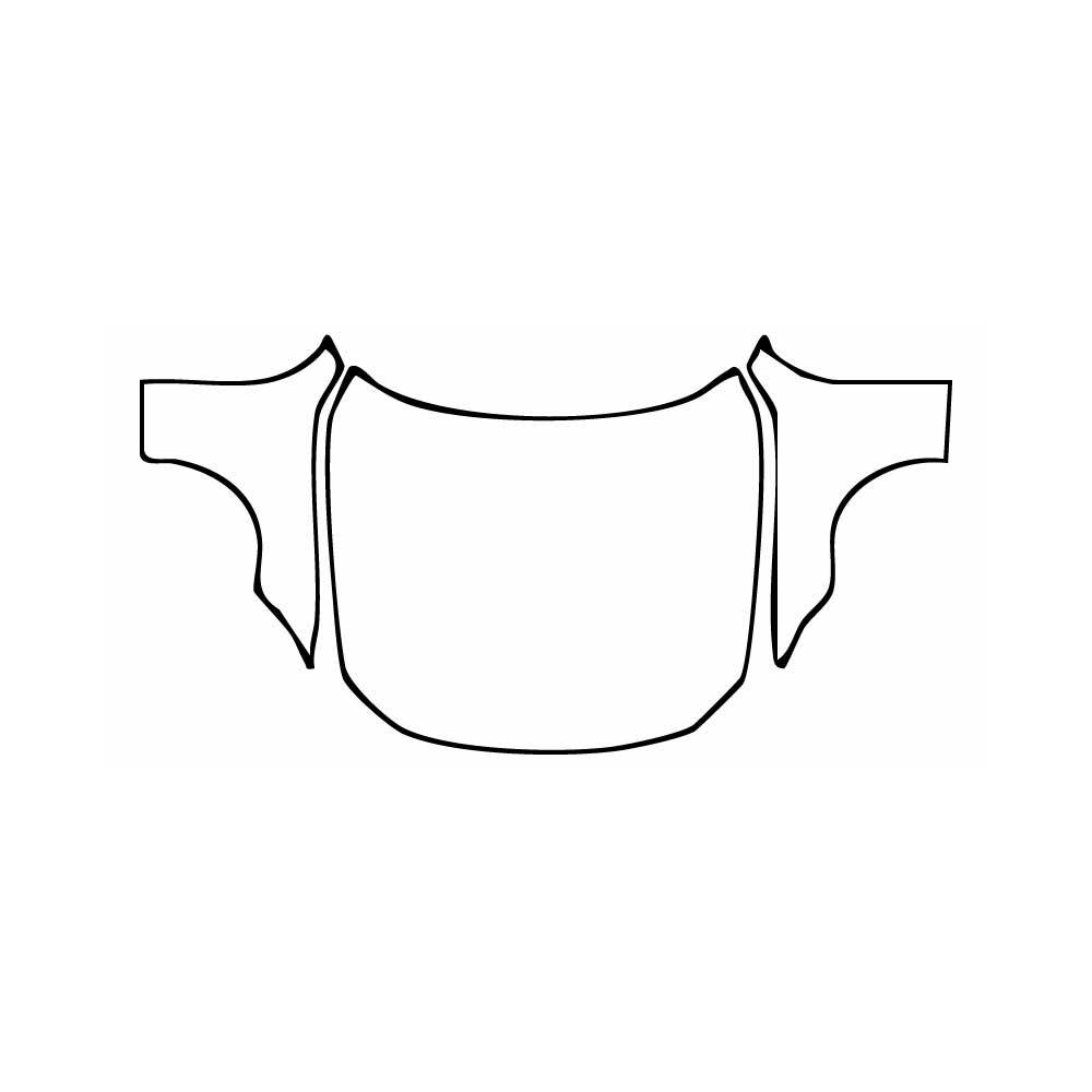 Voorgesneden PPF BMW 4 Series Convertible M Sport 2025