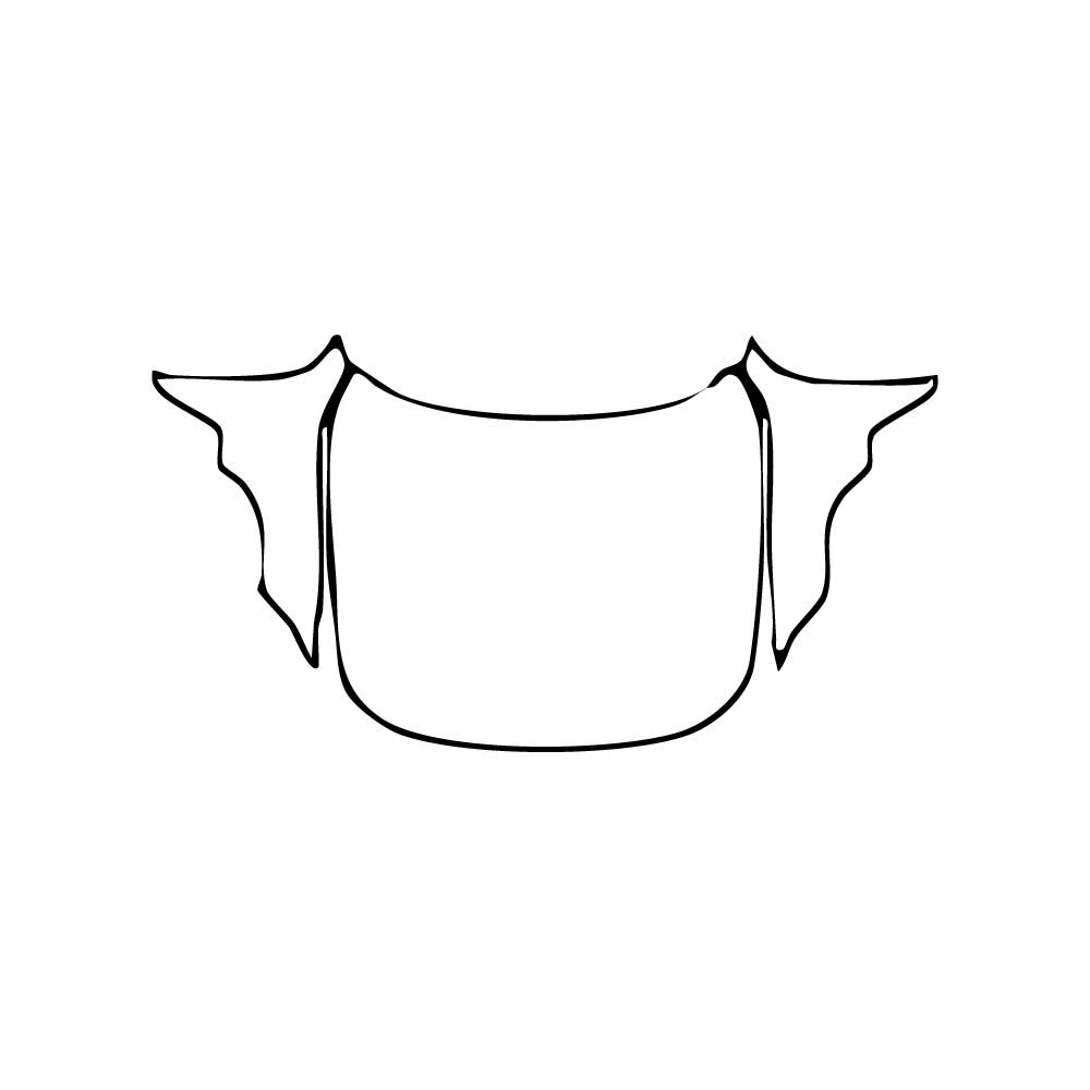 Voorgesneden PPF BMW 4 Series Gran Coupe Sport 2025