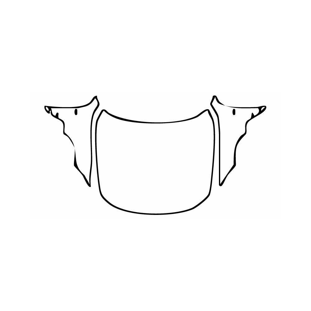 Voorgesneden PPF BMW 4 Series Gran Coupe M Sport 2025