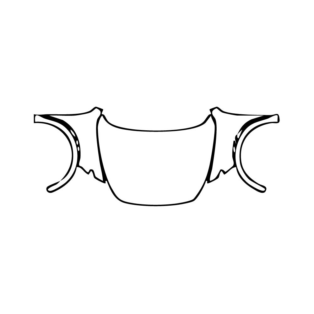 Voorgesneden PPF Cupra Formentor 2025