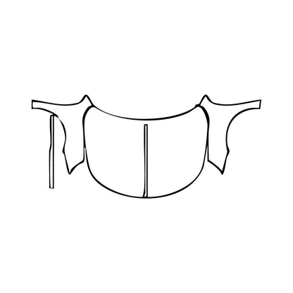 Voorgesneden PPF DS Automobiles DS 9 2025